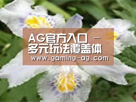 产品名称二