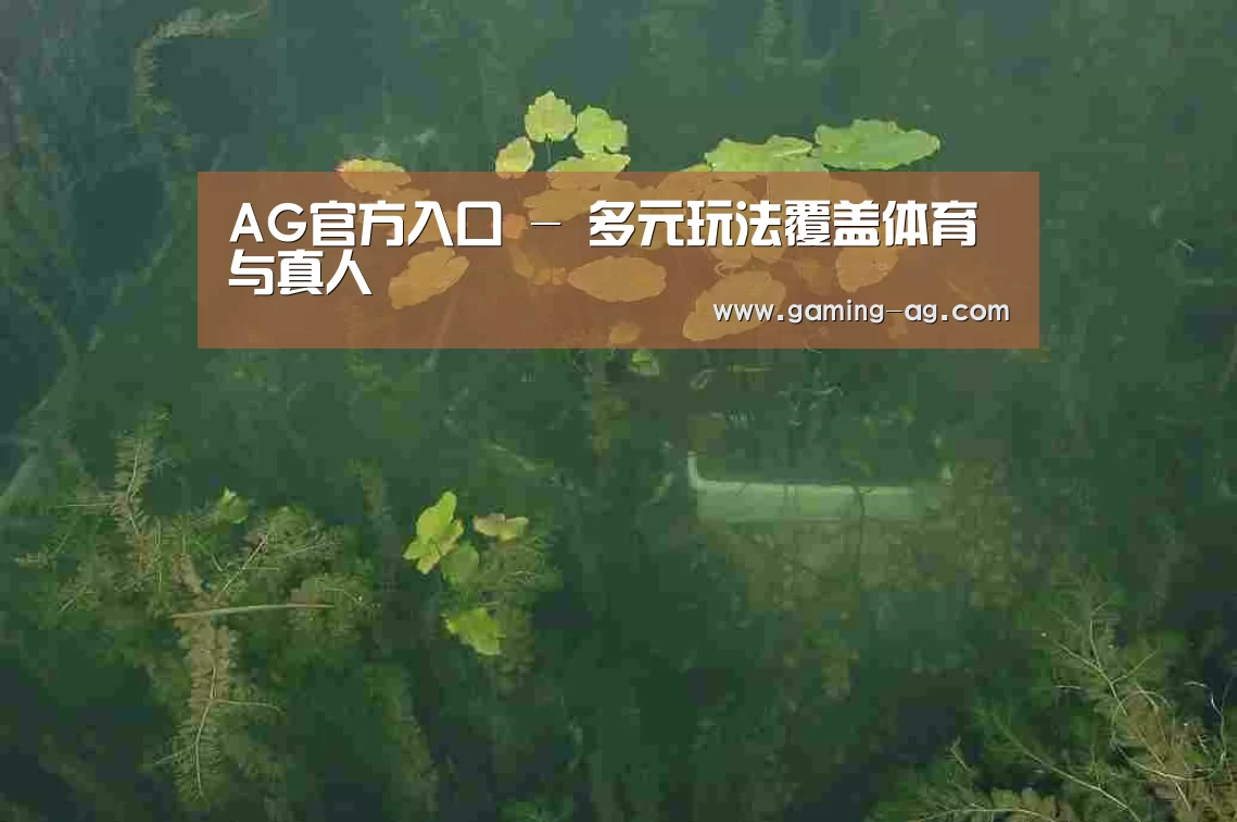 案例展示三