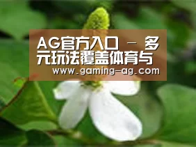 产品名称三