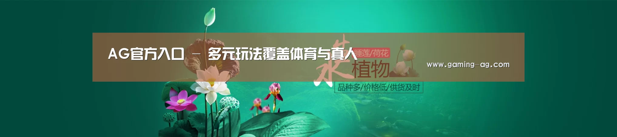鲜花水草花卉网站模板