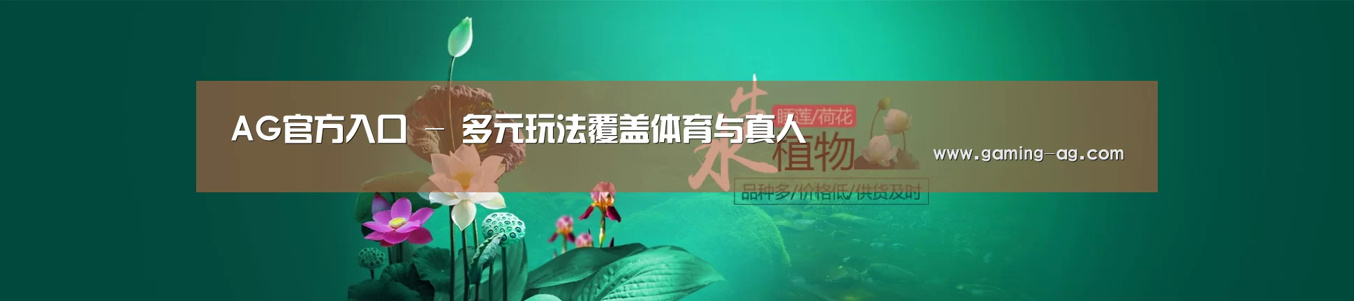 鲜花水草花卉网站模板