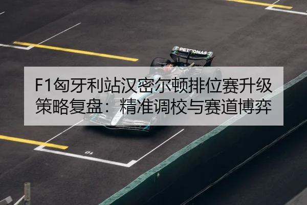 xiong-ya-li-zhan-han-mi-er-dun-pai-wei-sai-sheng-ji-ce-lve-fu-pan-jing-zhun-diao-xiao-yu-sai-dao-bo-yi-3-223.jpg