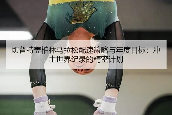 qie-pu-te-gai-bo-lin-ma-la-song-pei-su-ce-lve-yu-nian-du-mu-biao-chong-ji-shi-jie-ji-lu-de-jing-mi-ji-hua-3-704.jpg
