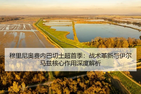 mu-li-ni-ao-fei-nei-ba-qie-tu-chao-shou-ji-zhan-shu-ge-xin-yu-yi-er-ma-zi-he-xin-zuo-yong-shen-du-jie-xi-2-643.jpg