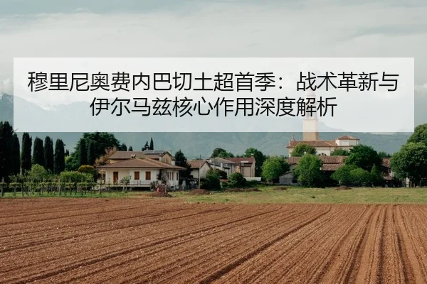 mu-li-ni-ao-fei-nei-ba-qie-tu-chao-shou-ji-zhan-shu-ge-xin-yu-yi-er-ma-zi-he-xin-zuo-yong-shen-du-jie-xi-3-527.jpg