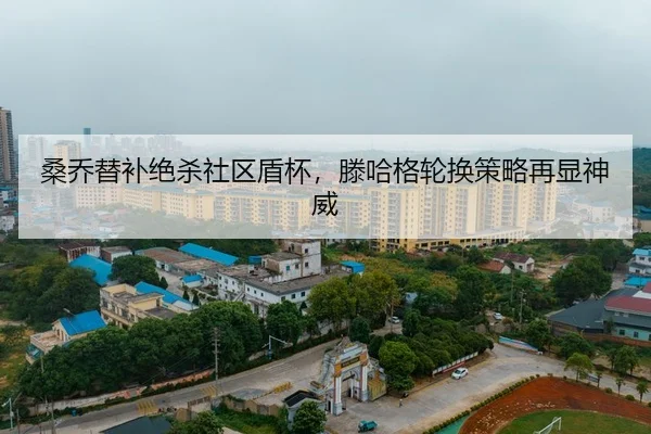sang-qiao-ti-bu-jue-sha-she-qu-dun-bei-teng-ha-ge-lun-huan-ce-lve-zai-xian-shen-wei-3-787.jpg