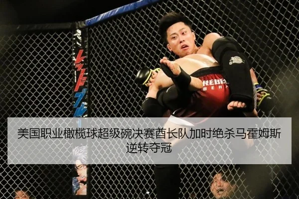 mei-guo-zhi-ye-gan-lan-qiu-chao-ji-wan-jue-sai-qiu-zhang-dui-jia-shi-jue-sha-ma-huo-mu-si-ni-zhuan-duo-guan-2-660.jpg