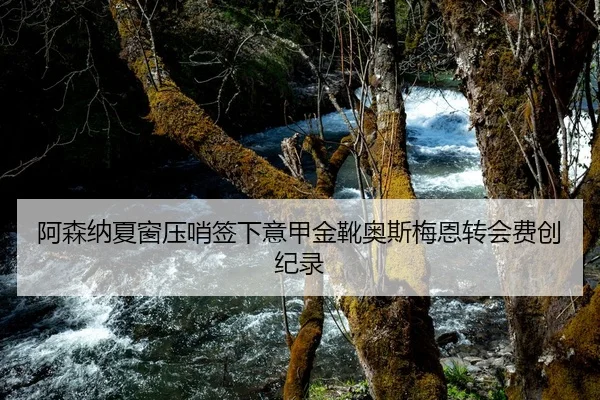 阿森纳夏窗压哨签下意甲金靴奥斯梅恩转会费创纪录
