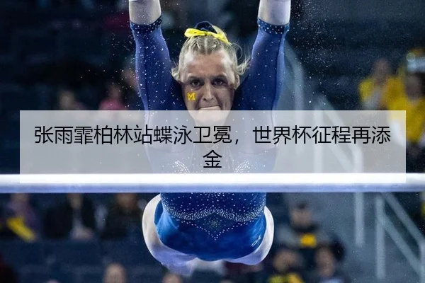 zhang-yu-fei-bo-lin-zhan-die-yong-wei-mian-shi-jie-bei-zheng-cheng-zai-tian-jin-3-163.jpg