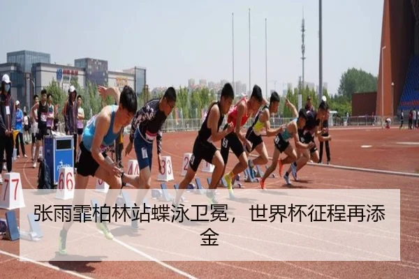 张雨霏柏林站蝶泳卫冕，世界杯征程再添金