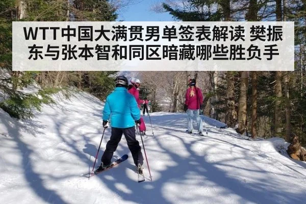 WTT中国大满贯男单签表解读 樊振东与张本智和同区暗藏哪些胜负手
