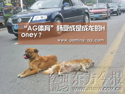 AG下载