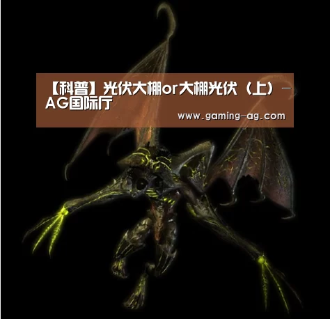 AG国际厅
