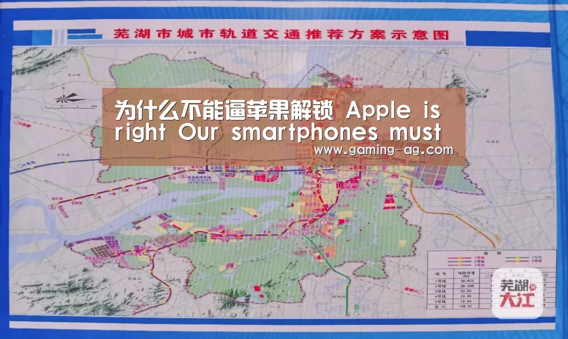 为什么不能逼苹果解锁 Apple is right Our smartphones must be kept secur‘AG体育’(图2) AG平台